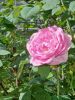20260525_075500.thumb.jpg.5cfb35232f06bc4a84910b7f75079d69.jpg