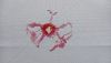 20260529_192047.thumb.jpg.e8c0928cc54e2206fdf9204dbc27bff0.jpg