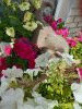 20260601_145320.thumb.jpg.c6f7b8de04568c2a4b5ab9addef9d7eb.jpg?1781443621685