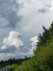 20260602_164300.thumb.jpg.982c1416093b64f4f8db0be1383a4bd5.jpg