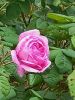 20260603_075014.thumb.jpg.0b57ba24b152c52f560a2ad6583a12df.jpg
