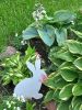 20260603_075104.thumb.jpg.0dc7ba0ff66706f448d511770886ff92.jpg