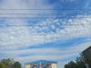 20260609_071100.thumb.jpg.4a77b13cf0250da72330ba5a87e01bfc.jpg