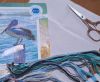20260610_094852.thumb.jpg.85add306e103f24da932aa2ede8377f6.jpg