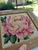 20260611_111108.thumb.jpg.81b05bd8bfc258ad8ace090b9bcf3a2b.jpg