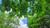 20260614_120039.thumb.jpg.e2bd7a5d6560752246e2e333247f68a5.jpg