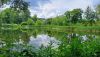 20260614_121705.thumb.jpg.e536da49b6bb027aabd2b84627ceaf83.jpg