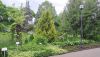 20260614_124234.thumb.jpg.bbc0e01171434813cede7b3b097c599c.jpg