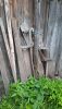 20260614_150714.thumb.jpg.15cfc25ca6b53c12923600af385463f8.jpg