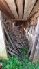 20260614_182313.thumb.jpg.f0229037f2bb99e3068a6d2974cef2f9.jpg