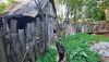 20260614_182323.thumb.jpg.39946acdcfb995df6a11bd70d80d9835.jpg