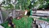 20260614_182354.thumb.jpg.f056bcbc6ee6e298374f0a32d967be72.jpg
