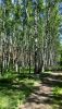 20260621_142206.thumb.jpg.14c9f2e2a0b9e58ca71597897abca2a3.jpg