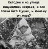 326290843_23.thumb.jpg.a556721a8d68bbbe0a21446c1b0af0bc.jpg