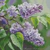 Разработка Людмилы Корчиной, Весенний дождь