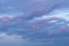 9X3A0011.thumb.jpg.b791b717a915bc95dfbee0925253a286.jpg
