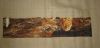 DSC09227.thumb.JPG.f945b197ee61af086b60d4bd1f77f2fd.JPG
