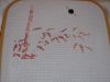 DSCN0352.thumb.JPG.d61a10125bea0c509a209bbcae4cbaa1.JPG