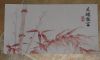 DSCN0362.thumb.JPG.826173b21b4fa6ac23a8741ed7adf3e6.JPG