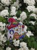 IMG20260517120653.thumb.jpg.69d6fcd9f030fd514c3c151efef93793.jpg