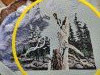 IMG20260607225849.thumb.jpg.a7eca955fda6a9dab4f60c4dd5bb82b1.jpg?1780941707101