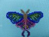 IMG20260619234342.thumb.jpg.3bacd9a690a024dc067260530bbf610b.jpg?1782204767540