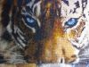 IMG_2026-06-04-23-30-32-965.thumb.jpg.046f97f638bf4a2cb10dbcb9a2f41179.jpg