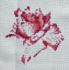 IMG_20260508_233601.thumb.jpg.16cb8bfe4124dc46a4efaf4e0454db33.jpg