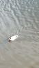 IMG_20260601_134724.thumb.png.9ac93df3d48216c9d2576267fbc3ea1a.png