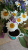 IMG_20260601_134747.thumb.png.53ccb17f9e806e9650e6b7847ebb5ee0.png