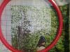 IMG_20260605_184140.thumb.jpg.37bed9db7fe6312174cbd1706284af16.jpg