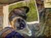 IMG_20260608_013643.thumb.jpg.ad752f77d9cae8bc0290a5eec7e15900.jpg