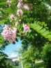 IMG_20260610_165151.thumb.jpg.2b4d7ce86c4b0889d25c86c7de60bbeb.jpg