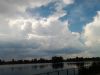 IMG_20260612_160326.thumb.jpg.295af359cb90d274d23ef4c2336d3867.jpg