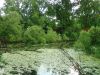IMG_20260612_164226.thumb.jpg.8d0fa39d45cc1eb47829fe82ffe9f208.jpg