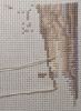 IMG_20260616_051025.thumb.jpg.0d566016b6db18bd8de9ce8e8362d6b4.jpg