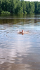 IMG_20260617_143938.thumb.png.980d36be2942686d4f115871c79f432f.png