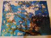 IMG_20260626_225950.thumb.jpg.3ebed8b5c6bcd866a6b0ddc805a2c0e1.jpg?1782504172318