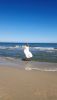IMG_20260627_093147.thumb.jpg.d2899fa197309da3c5b9bd633bcaf1c5.jpg
