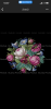 IMG_3458.thumb.png.15225a7385bfc5373185a37c61cf3fd8.png