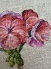 IMG_3937.jpeg.897f82b1ec8c6a7968ddc634cdf8d7d5.jpeg
