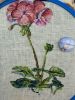 IMG_3986.jpeg