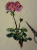 IMG_4171.jpeg