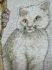 IMG_4178.jpeg