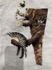 IMG_4923.thumb.jpeg.514b09e15c74c4bd14f2a9904337a802.jpeg