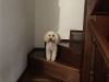 IMG_5515.jpeg