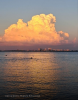 IMG_5844.thumb.png.51bb3a594c6ee457067689e310cef8d7.png