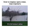 NDUg_hk4Lxv7F6vbr6hNk7neO3Akf2ijRym8wAg5JeaSD5ygmctCbtq_GPmBQBifeQgdqiXQH7e_oVEMTWRCBsAF.thumb.jpg.6ce083d9c3480ec6e29ed13990c002ba.jpg