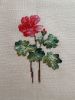 0103.thumb.jpg.b734fae4a304a6dac12f81ed1530e09a.jpg