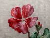 058.thumb.jpg.af4aa7f4deccbf7bf92bc4d60fe6afac.jpg
